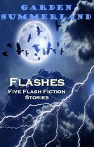 Flashes: Five Flash Fiction Stories