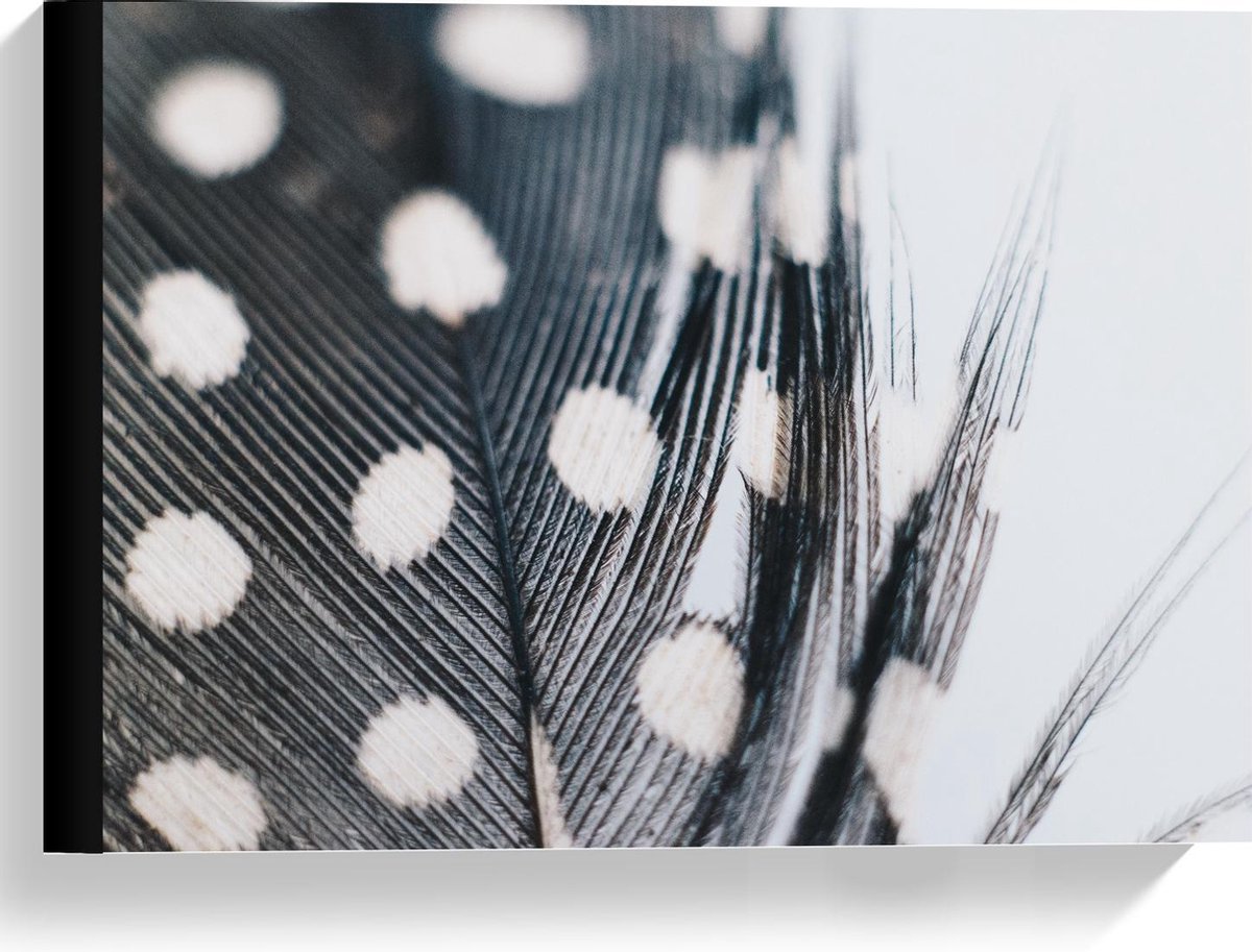 KuijsFotoprint Canvas - Veer met Stippen in Zwart Wit - 40x30cm Foto op Canvas Schilderij (Wanddecoratie op Canvas)