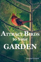 Attract Birds to Your Garden