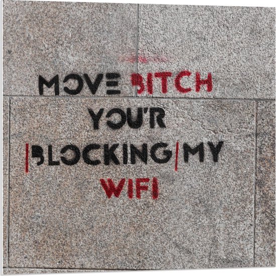 Forex - Stoeptekst: ''Move Bitch, You''r Blocking My Wifi'' - 80x80cm Foto op Forex