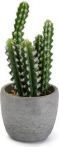 Decoratieve plant Plastic Cactus