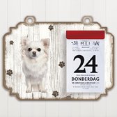 Scheurkalender 2022 Hond: Chihuahua Langhaar