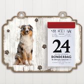 Scheurkalender 2023 Hond: Australian Shepherd Dog
