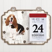 Scheurkalender 2023 Hond: Basset ArtÃ©sien Normand