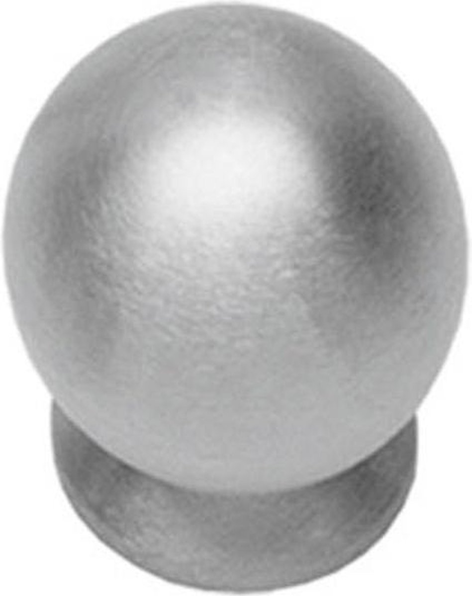 Intersteel Meubelknop ø 25 mm bolrond achterplaat rvs geborsteld