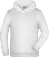 James And Nicholson Kinderen/Kinderen Basic Hoodie (Wit)