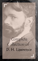 Classic Collection Series - Complete Collection of D. H. Lawrence