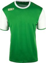 Robey Shirt Icon - Voetbalshirt - Green/White Sleeve - Maat S