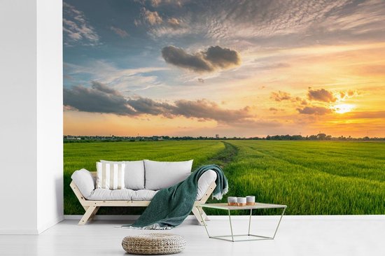 Papier peint Papier peint photo en vinyle - Prairie en Thaïlande largeur 390 cm x hauteur 260 cm - Tirage photo sur papier peint (disponible en 7 tailles)