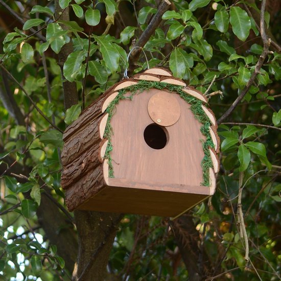 Bol d'alimentation en bois d'écureuil - Nid d'oiseau