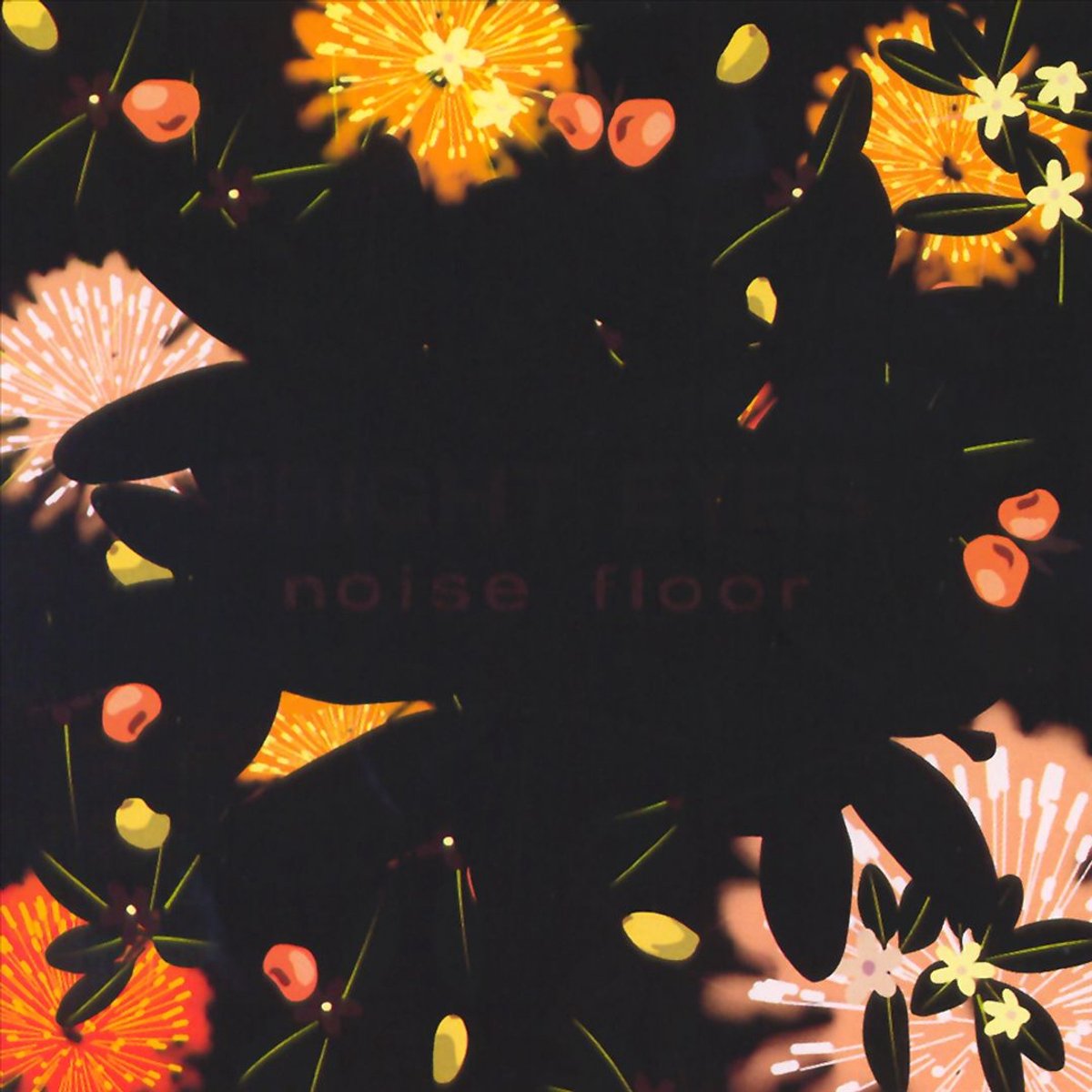 Noise Floor:Rarities '98-'05