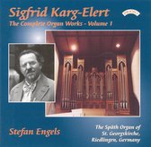 Complete Organ Works Of Sigfrid Karg - Elert - Vol 1 - The Organ Of St Georgskirche. Riedlingen. Germany