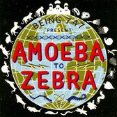 Amoeba to Zebra