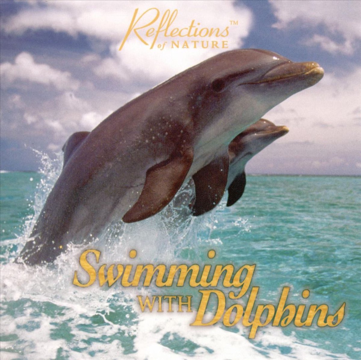 Swimming with Dolphins
