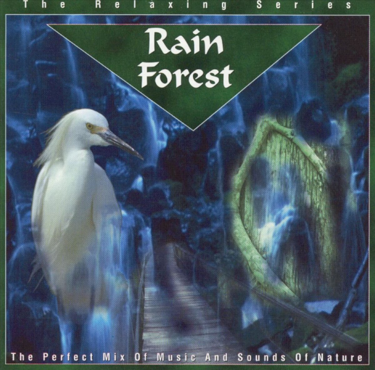 Rain Forest