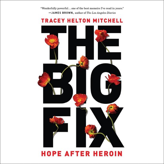 The Big Fix - cover