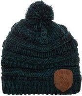 Harry Potter Slytherin hat