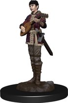 Dungeons and Dragons: Icons of the Realms - Half-Elf Bard Female