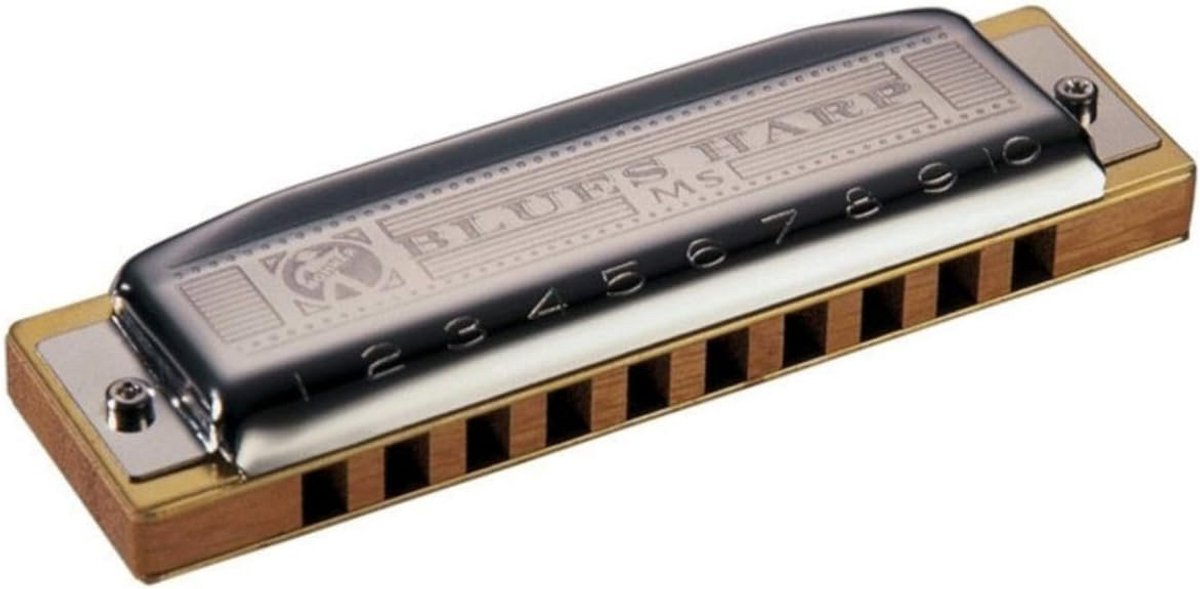 Blues Mondharmonica in Toonsoort D - Warm en Klassiek Geluid
