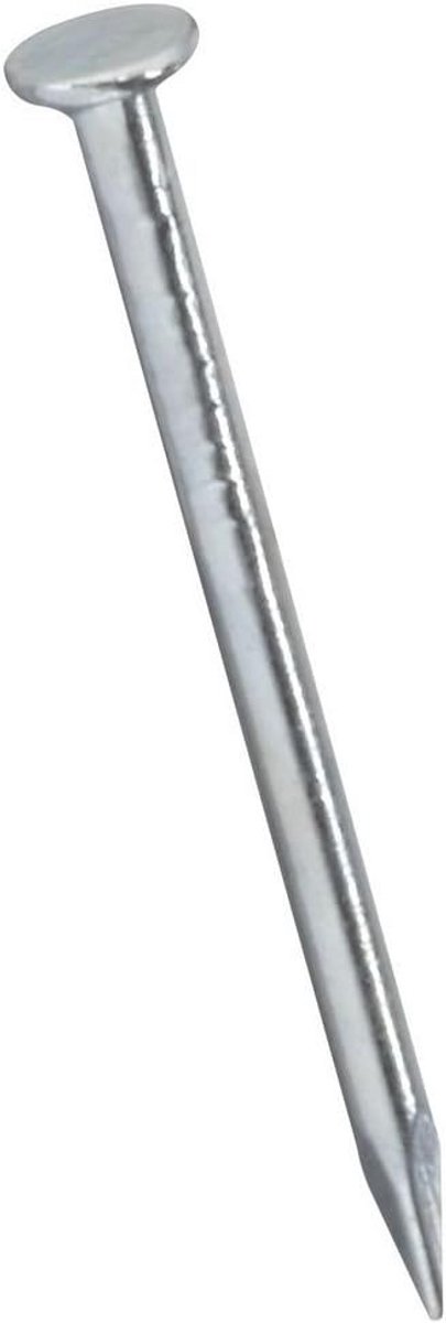 Verzinkte Draadspijkers 3,2 cm voor Houtconstructies en Kleine Klussen