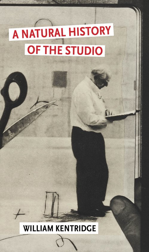 A Natural History of the Studio - cover