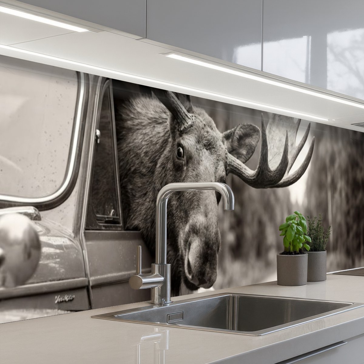 Keuken achterwand 400x80 cm - Spatscherm zelfklevend Eland - Auto - Gewei - Zwart - Wit - Muurbeschermer - Spatwand fornuis