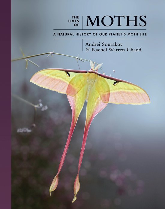 De Lives of Moths: Een Natuurlijke Geschiedenis van het Mothleven op Onze Planeet, met een grote lichtgroene en roze maanmoth met lange staarten.