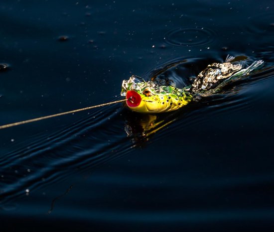 Topwater Kikker Kunstaas met Loop & Popping Actie - Ideaal voor Baars en Roofvis — afbeelding 5