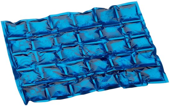 Koelbox kunststof - grijs - 20 liter - 39 x 28 x 38 cm - Inclusief 2x koelelementen van Koelbox. — afbeelding 2