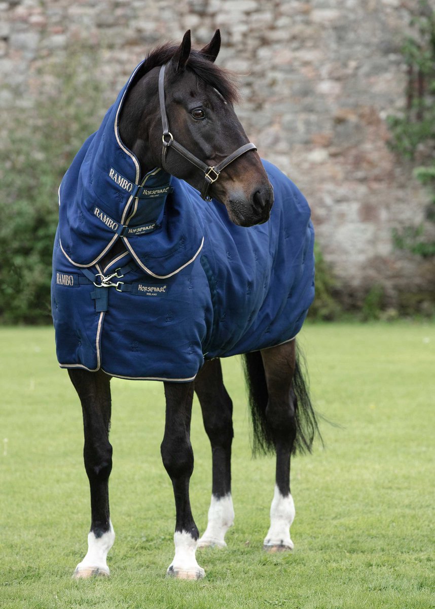 Rambo Deluxe Stable Plus Medium 200g-Navy-115-160