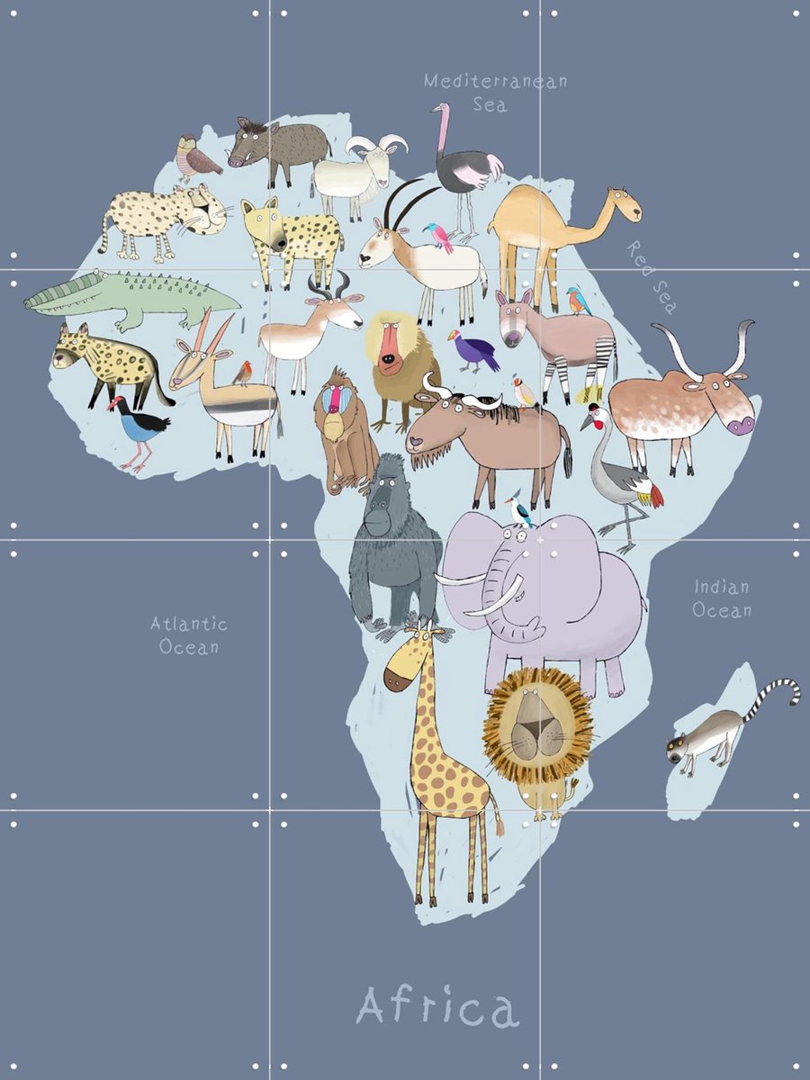 IXXI Africa, Carla Daly - 60 x 80 cm - Gratis ophangtool - Grote wanddecoratie en posters - Kleurrijk, Speels, Cartoonesk, Digitale Kunst