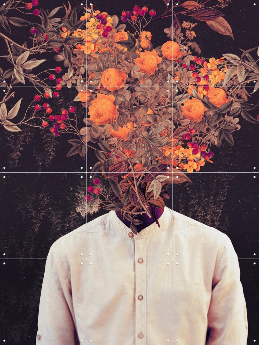 IXXI Bloom, Frank Moth - 60 x 80 cm - Gratis ophangtool - Grote wanddecoratie en posters - Surrealisme, Digitale Kunst, Gemengde Technieken, Vintage