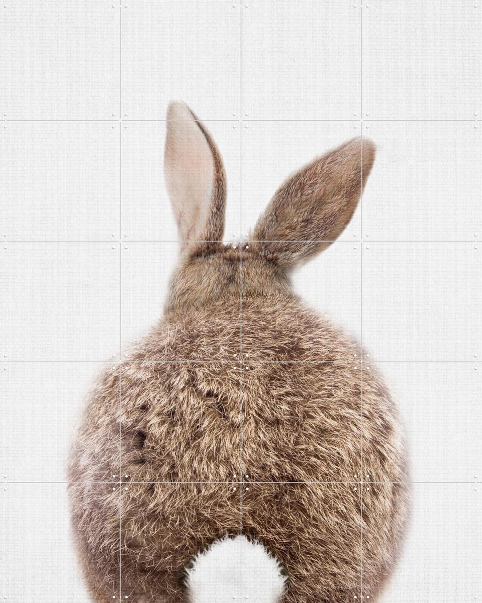 IXXI Print 317 Rabbit, Lila + Lola - 80 x 100 cm - Gratis ophangtool - Grote wanddecoratie en posters - Fotografie, Minimalisme, Woonkamer