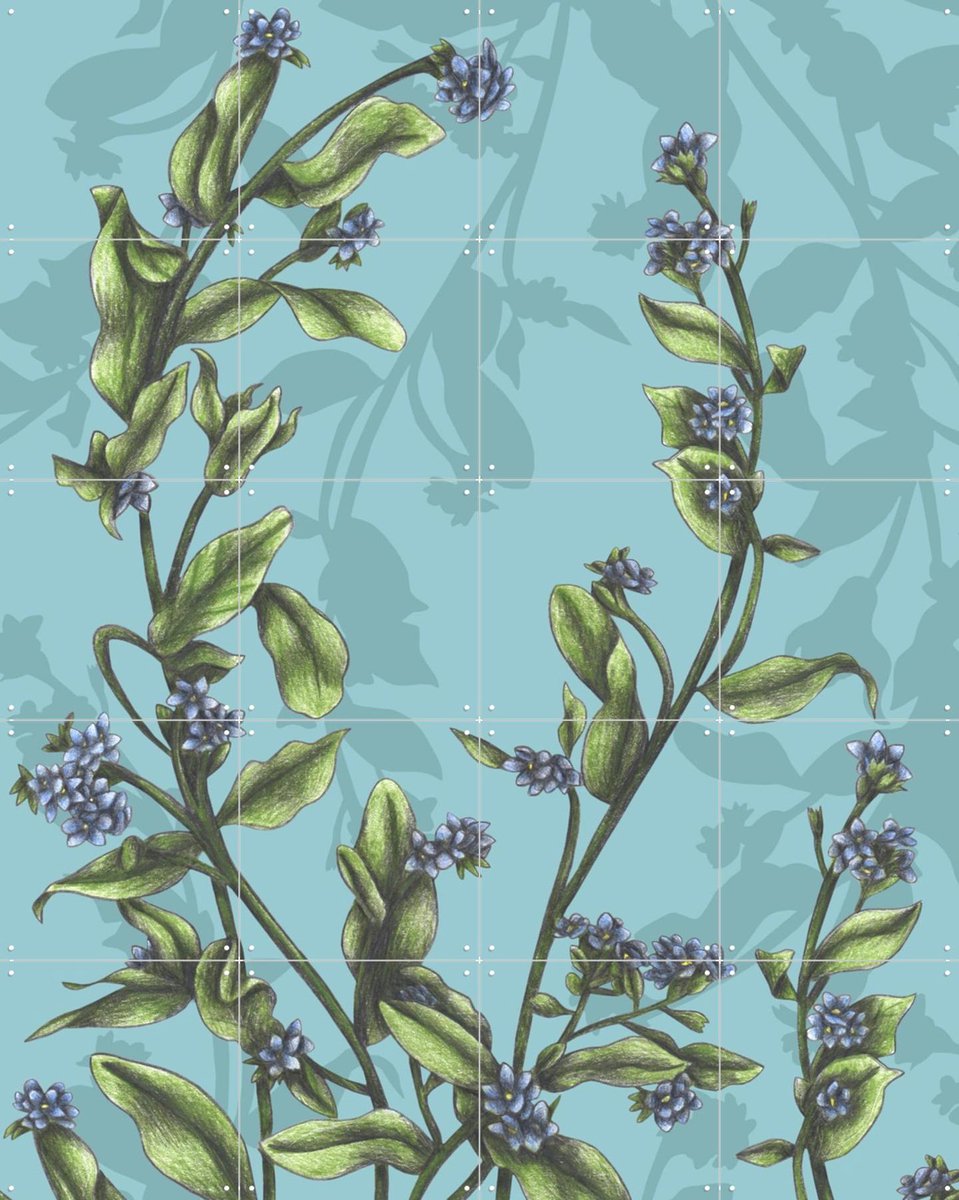 IXXI Forget-Me-Not, Cecilia Battaini - 80 x 100 cm - Gratis ophangtool - Grote wanddecoratie en posters - Naturalisme, Illustraties, Woonkamer