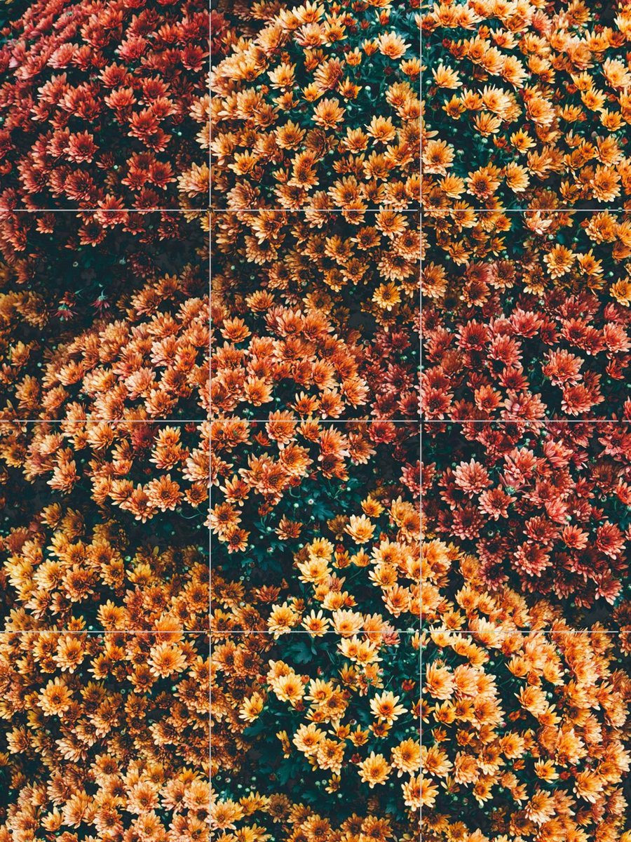 IXXI Autumn Flowers, Pati Photography - 60 x 80 cm - Gratis ophangtool - Grote wanddecoratie en posters - Fotografie, Woonkamer, Eetkamer, Slaapkamer