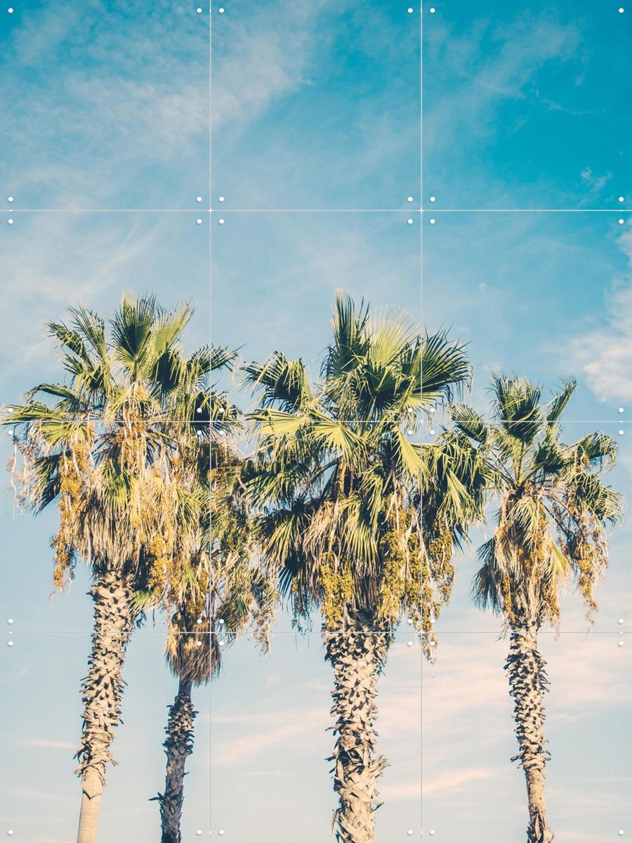 IXXI Barcelona Palm Trees, Pati Photography - 60 x 80 cm - Gratis ophangtool - Grote wanddecoratie en posters - Fotografie, Vintage, Slaapkamer