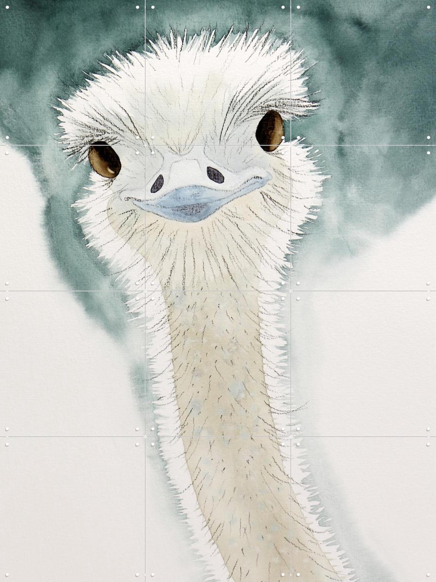 IXXI Happy Ostrich, Natalie Bruns - 60 x 80 cm - Gratis ophangtool - Grote wanddecoratie en posters - Aquarel, Fantasierijk, Speels, Illustraties