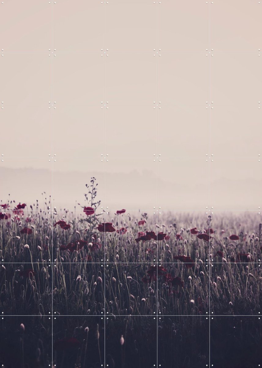 IXXI Poppy Study 03, STUDIO HANNAH LEMHOLT - 100 x 140 cm - Gratis ophangtool - Grote wanddecoratie en posters - Fotografie, Woonkamer, Slaapkamer