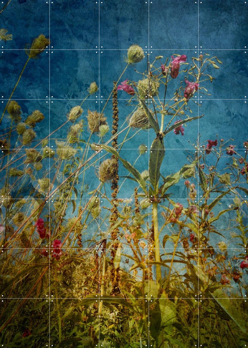 IXXI Heat Flowers, Angelo Cerantola - 100 x 140 cm - Gratis ophangtool - Grote wanddecoratie en posters - Vintage, Kleurrijk, Naturalisme, Fotografie