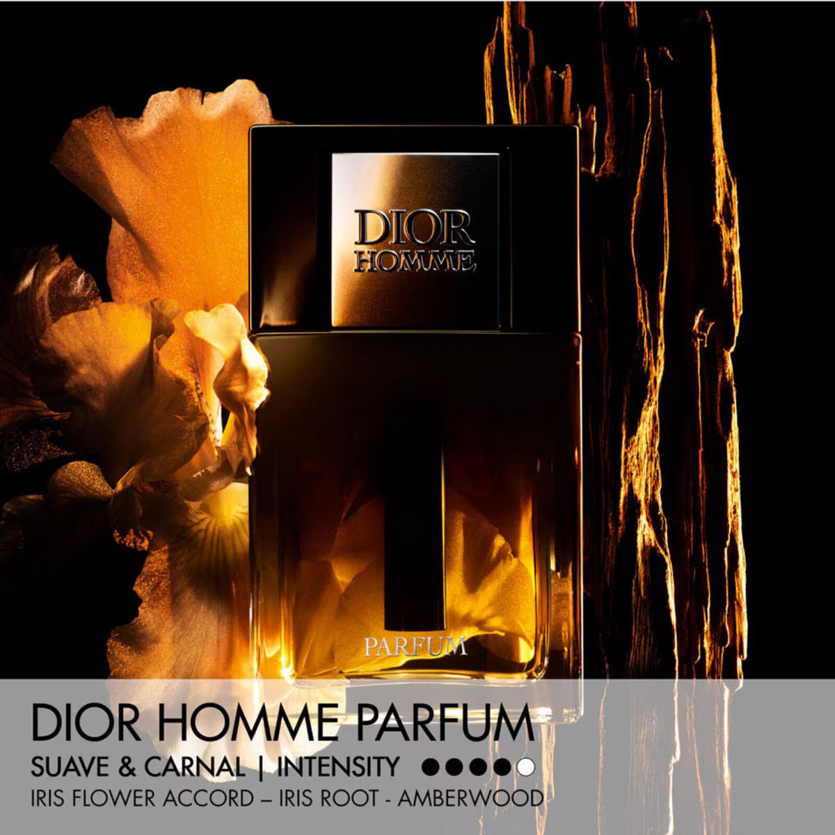 Dior Homme - Parfum voor Mannen - 125 ml – foto 2