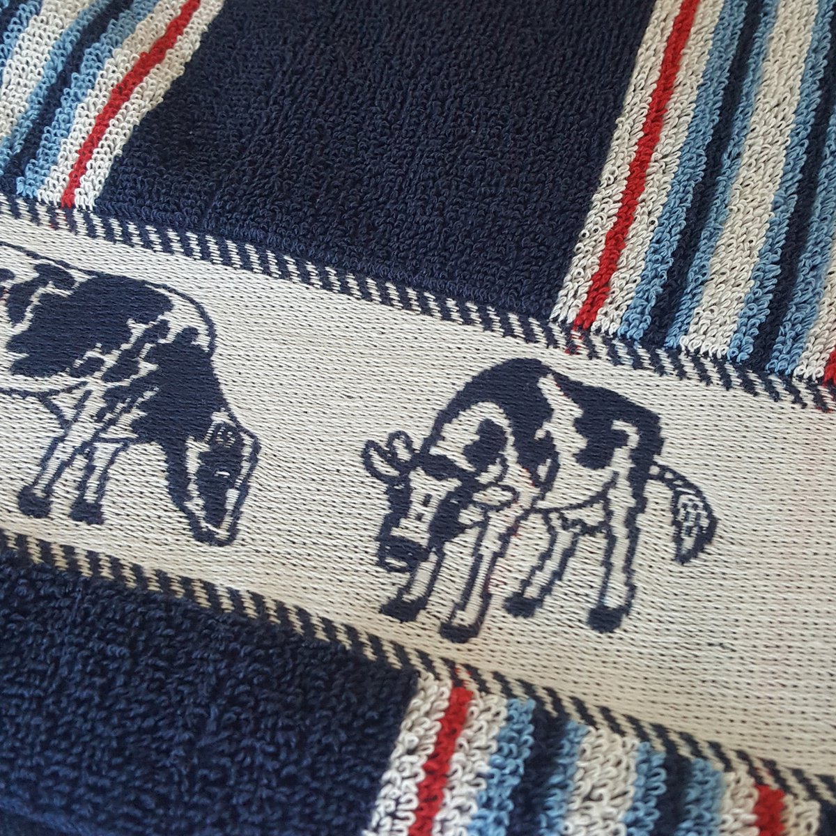 DDDDD Friesian - 2x Theedoek & 2x Keukendoek - Blue