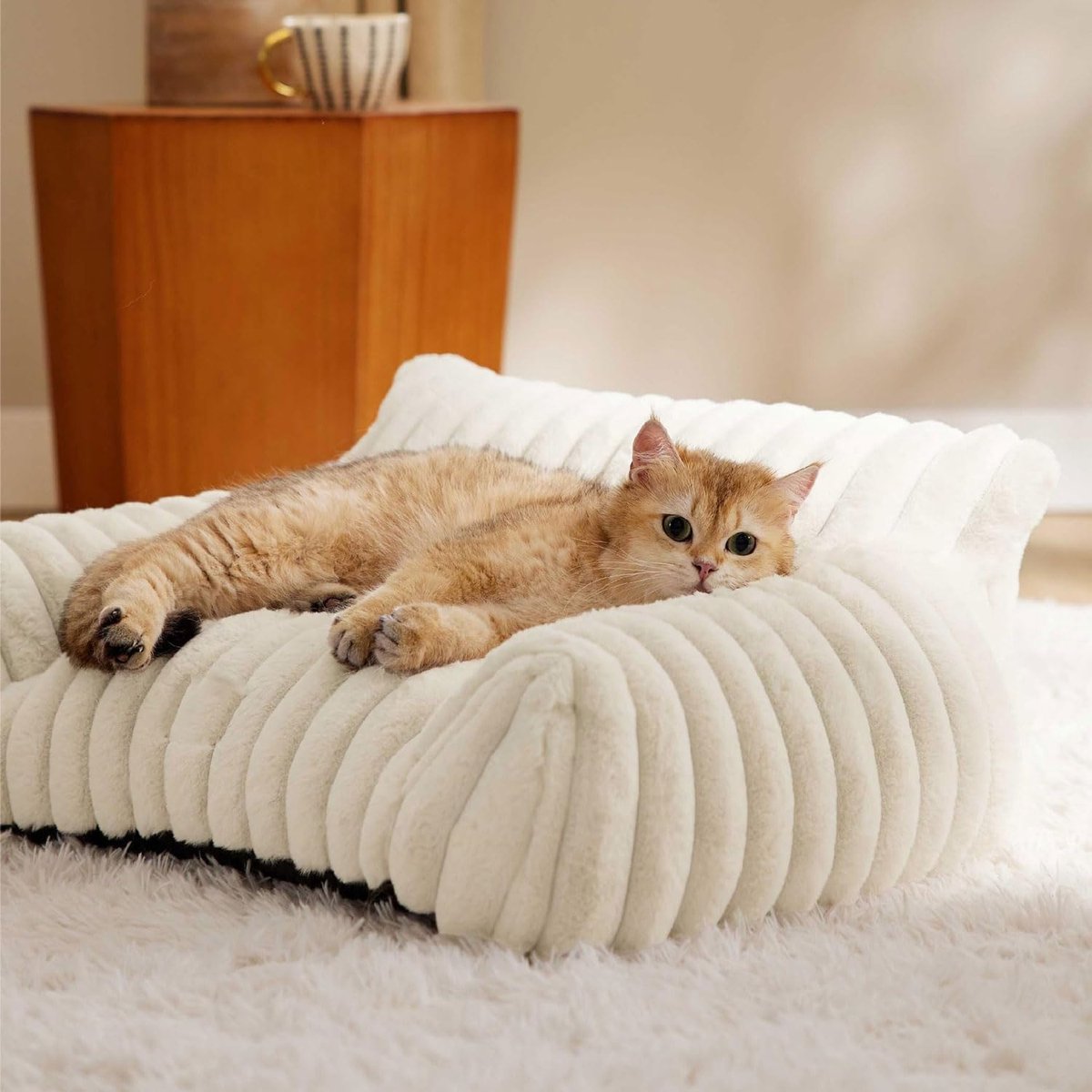 Orthopedisch Huisdierbed - Kattenbank Hondenkussen - Comfortabel Rusten - Driezijdig Ontwerp - Maat S - Wit