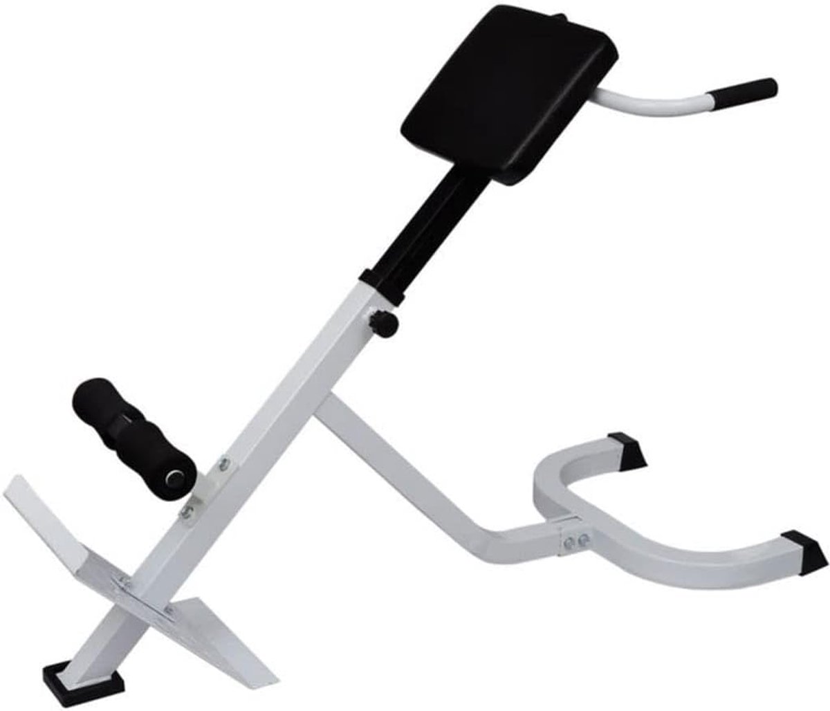 Rug en buiktrainer - Fitness bank - Thuis trainen - 5 Hoogte standen - 120x55x90cm - Zwart