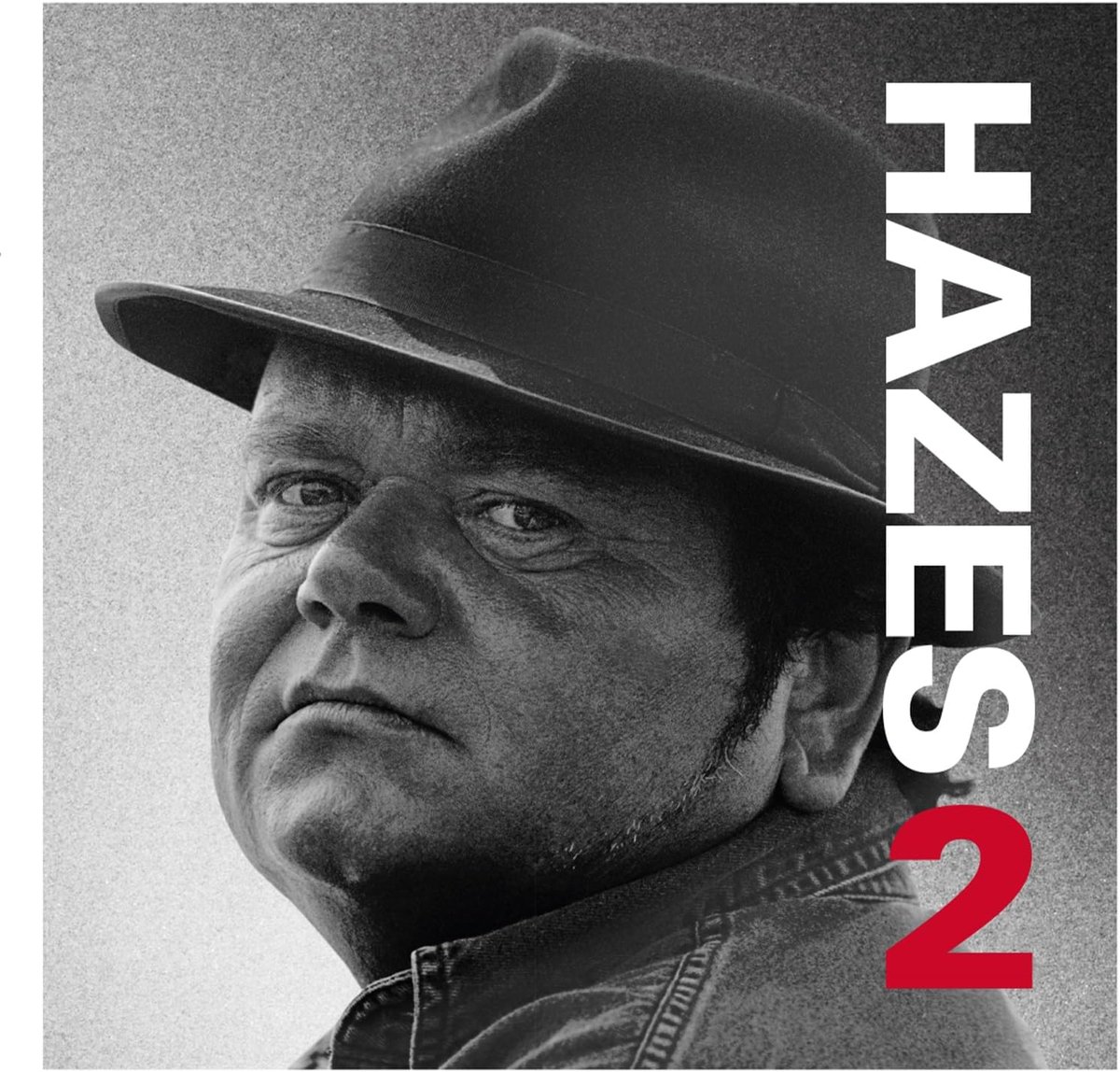 Muziek Album - Verzamelalbum Hits - Muziek Luisteren - Dubbel Vinyl - 32 cm - Zwart
