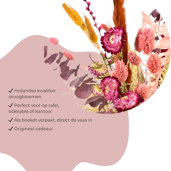 Boeket met roze en paarse droogbloemen, waaronder helichrysum en pampasgras. Textuele overlay met 'Hollandse kwaliteit droogbloemen'.