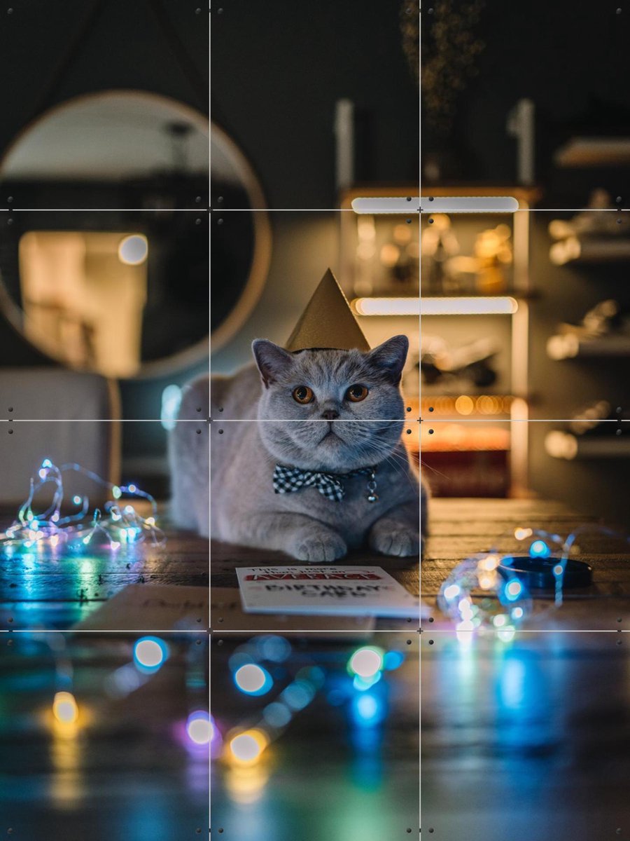 IXXI Birthday Cat, Tristan Zhou - 60 x 80 cm - Gratis ophangtool - Grote wanddecoratie en posters - Speels, Fotografie, Mancave, Kinderkamer, Kinderen
