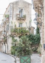 IXXI Scène de Rue Botanique - Décoration murale - Fleurs et Plantes - 100 x 140 cm