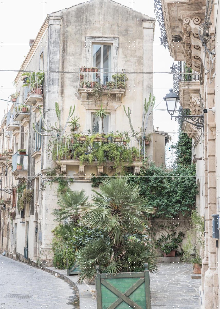 IXXI Botanical Street Scene, Photolovers - 100 x 140 cm - Gratis ophangtool - Grote wanddecoratie en posters - Fotografie, Botanisch, Architectuur