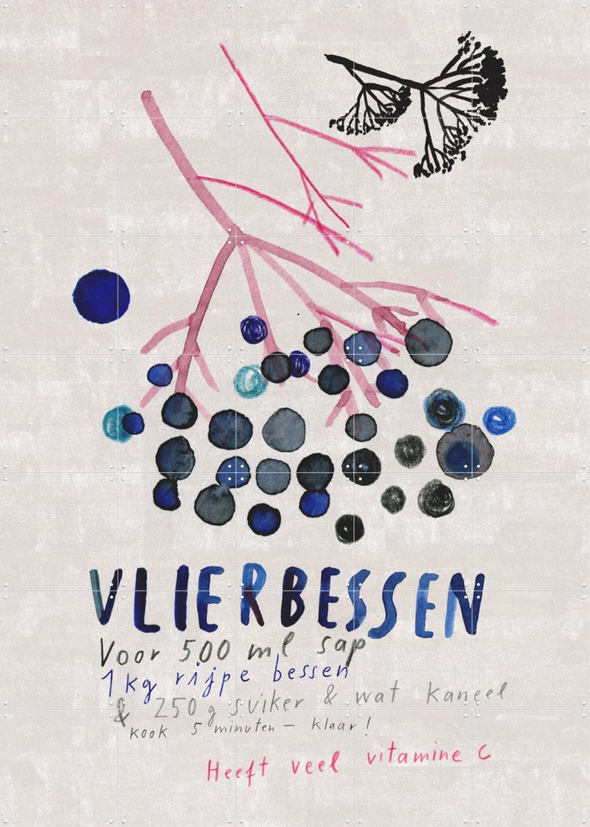 IXXI Vlierbessen, Signorinah - 100 x 140 cm - Gratis ophangtool - Grote wanddecoratie en posters - Illustraties, Eten & Drinken, Natuur