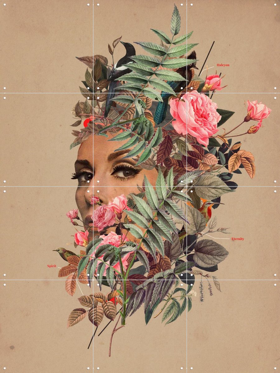 IXXI Halcyon Days, Frank Moth - 60 x 80 cm - Gratis ophangtool - Grote wanddecoratie en posters - Collage, Illustraties, Gemengde Technieken, Vintage